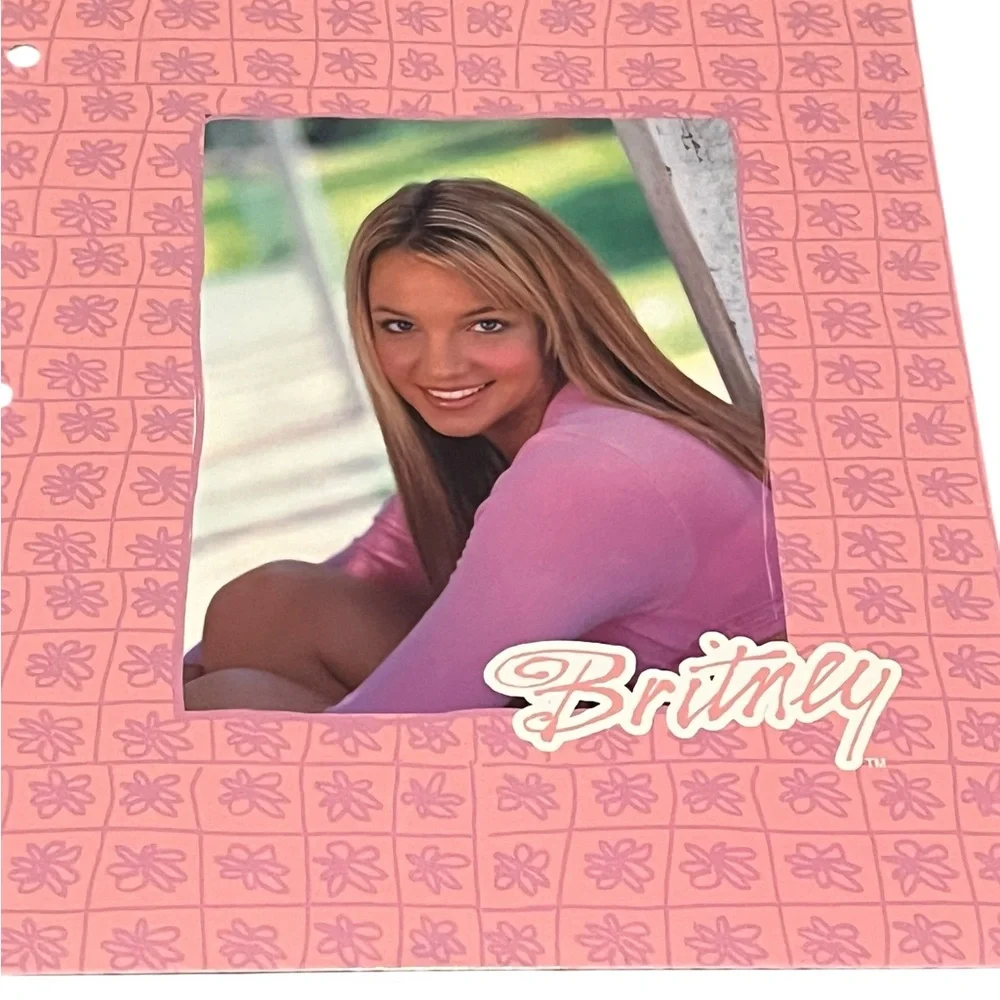 Pink Britney folder Cover